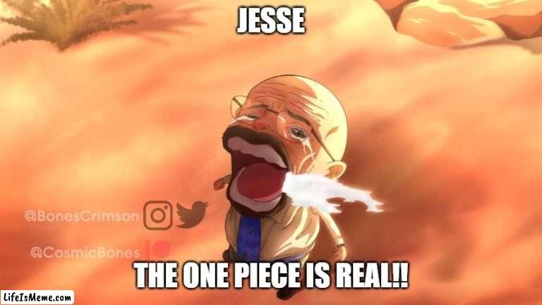 jesse | JESSE; THE ONE PIECE IS REAL!! | image tagged in walter white,jesse pinkman,breaking bad,better call saul,kid named finger,heisenberg | made w/ Lifeismeme meme maker