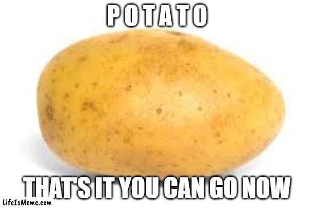 P O T A T O | P O T A T O; THAT'S IT YOU CAN GO NOW | image tagged in potato | made w/ Lifeismeme meme maker