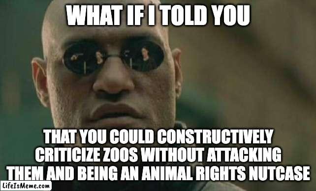 Attacking is not Criticism | WHAT IF I TOLD YOU; THAT YOU COULD CONSTRUCTIVELY CRITICIZE ZOOS WITHOUT ATTACKING THEM AND BEING AN ANIMAL RIGHTS NUTCASE | image tagged in memes,matrix morpheus | made w/ Lifeismeme meme maker