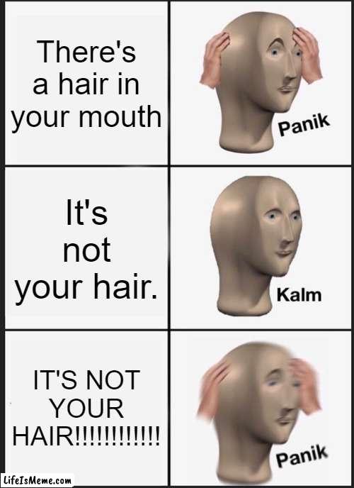 POV: there is a hair in your mouth | There's a hair in your mouth; It's not your hair. IT'S NOT YOUR HAIR!!!!!!!!!!!! | image tagged in memes,panik kalm panik | made w/ Lifeismeme meme maker