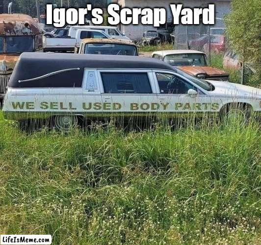 Body Parts | Igor's Scrap Yard | image tagged in humor,halloween | made w/ Lifeismeme meme maker
