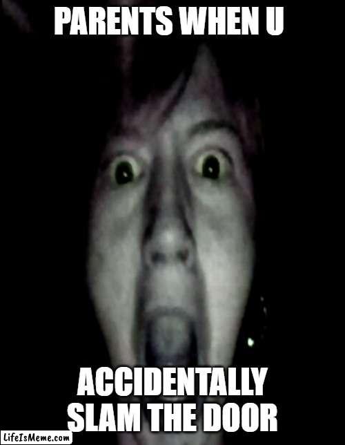 When u accidentally slam the door | PARENTS WHEN U; ACCIDENTALLY SLAM THE DOOR | image tagged in funny,memes,horror memes,stupid,extreme | made w/ Lifeismeme meme maker