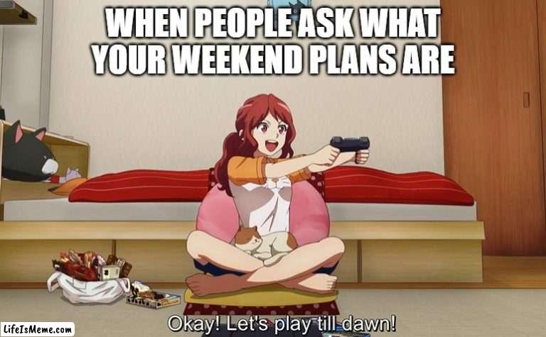 Weekend plans | WHEN PEOPLE ASK WHAT YOUR WEEKEND PLANS ARE | image tagged in cats,video games,grumpy cat weekend | made w/ Lifeismeme meme maker