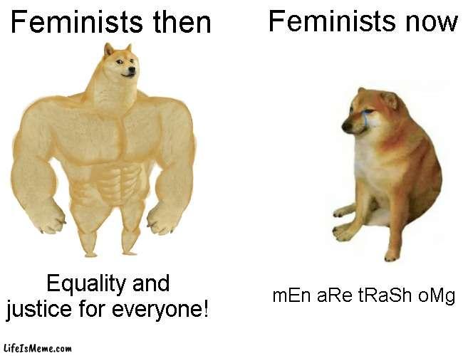 Feminists suck now | Feminists then; Feminists now; Equality and justice for everyone! mEn aRe tRaSh oMg | image tagged in memes,buff doge vs cheems | made w/ Lifeismeme meme maker