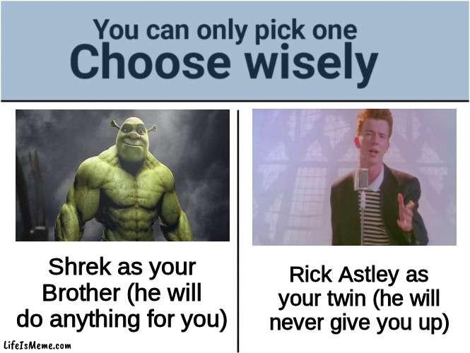 Pick one or else.. | Shrek as your Brother (he will do anything for you); Rick Astley as your twin (he will never give you up) | image tagged in you can pick only one choose wisely,why are you reading this | made w/ Lifeismeme meme maker