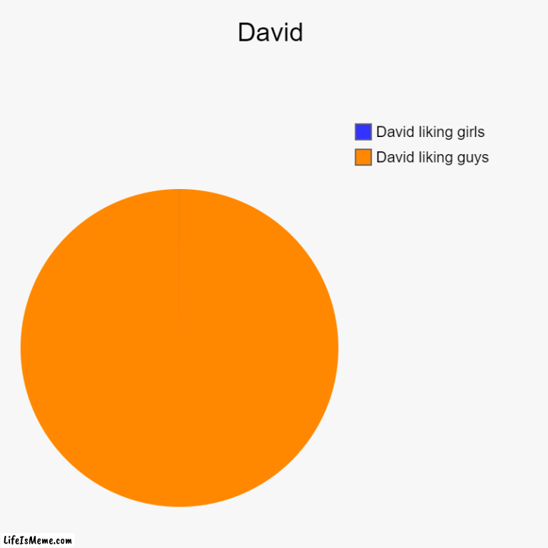 David | David | David liking guys, David liking girls | image tagged in charts,pie charts | made w/ Lifeismeme chart maker