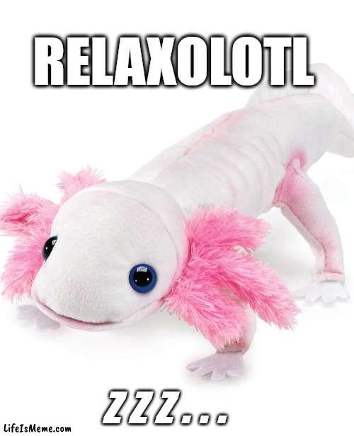 Relaxolotl | RELAXOLOTL; z z z . . . | image tagged in axolotl,elementary,school,vacation,relax,nap | made w/ Lifeismeme meme maker