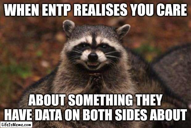 Grey ENTP | WHEN ENTP REALISES YOU CARE; ABOUT SOMETHING THEY HAVE DATA ON BOTH SIDES ABOUT | image tagged in evil genius racoon,mbti,myers briggs,entp,personality,memes | made w/ Lifeismeme meme maker