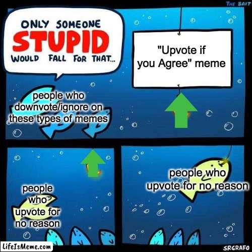 upvote beggers am i right? | "Upvote if you Agree" meme; people who downvote/ignore on these types of memes; people who upvote for no reason; people who upvote for no reason | image tagged in only someone stupid would fall for that,upvote begging,upvotes,upvote if you agree,fishing for upvotes,imgflip | made w/ Lifeismeme meme maker