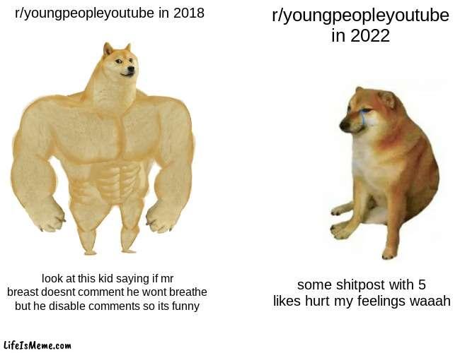 really sucks what its come to | r/youngpeopleyoutube in 2018; r/youngpeopleyoutube in 2022; look at this kid saying if mr breast doesnt comment he wont breathe but he disable comments so its funny; some shitpost with 5 likes hurt my feelings waaah | image tagged in memes,buff doge vs cheems | made w/ Lifeismeme meme maker
