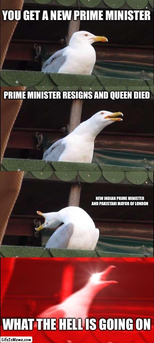man.. This is too chaaotic | YOU GET A NEW PRIME MINISTER; PRIME MINISTER RESIGNS AND QUEEN DIED; NEW INDIAN PRIME MINISTER AND PAKISTANI MAYOR OF LONDON; WHAT THE HELL IS GOING ON | image tagged in memes,inhaling seagull | made w/ Lifeismeme meme maker