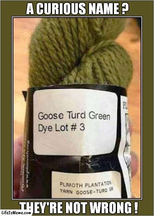 Congrats To The Product Naming Department ! | A CURIOUS NAME ? THEY'RE NOT WRONG ! | image tagged in fun,names,goose | made w/ Lifeismeme meme maker