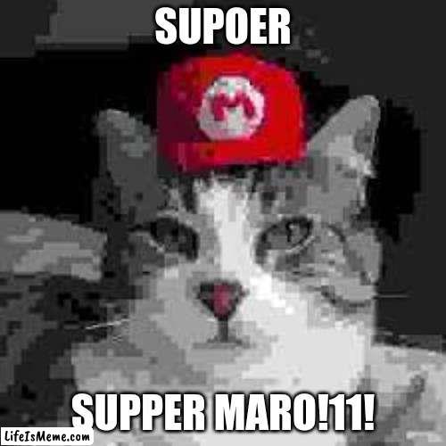 sopper mario!!! (real) | SUPOER; SUPPER MARO!11! | image tagged in cat,meme,low quality,badlymade,bad spelling,funny | made w/ Lifeismeme meme maker
