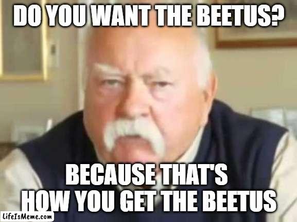Wilfred Brimley | DO YOU WANT THE BEETUS? BECAUSE THAT'S 
HOW YOU GET THE BEETUS | image tagged in wilfred brimley,halloween,sugar,diabeetus,candy | made w/ Lifeismeme meme maker