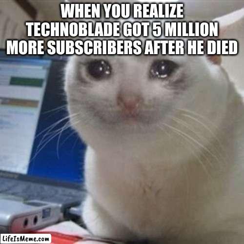 sad but wholesome | WHEN YOU REALIZE TECHNOBLADE GOT 5 MILLION MORE SUBSCRIBERS AFTER HE DIED | image tagged in crying cat | made w/ Lifeismeme meme maker