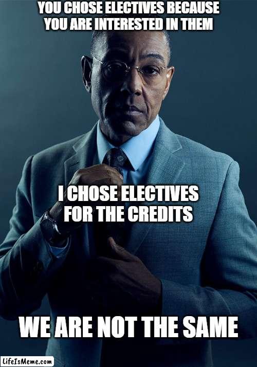 Gotta Get Credits | YOU CHOSE ELECTIVES BECAUSE YOU ARE INTERESTED IN THEM; I CHOSE ELECTIVES FOR THE CREDITS; WE ARE NOT THE SAME | image tagged in gus fring we are not the same,high school,school,electives,we are not the same,gus fring | made w/ Lifeismeme meme maker