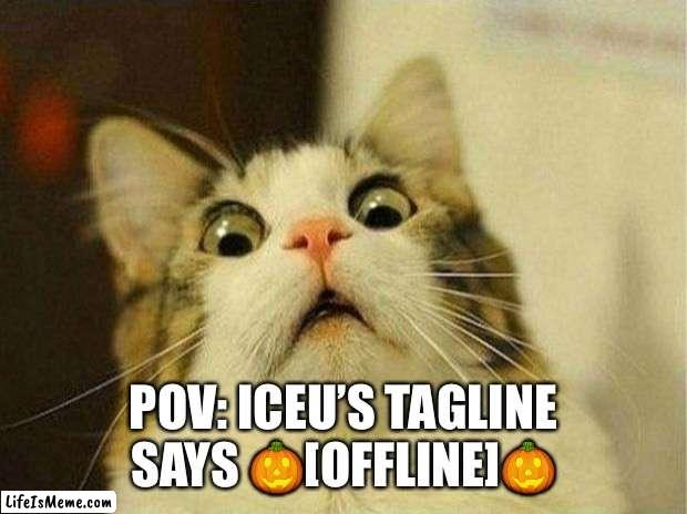 Rare occurrence | POV: ICEU’S TAGLINE SAYS 🎃[OFFLINE]🎃 | image tagged in memes,scared cat | made w/ Lifeismeme meme maker