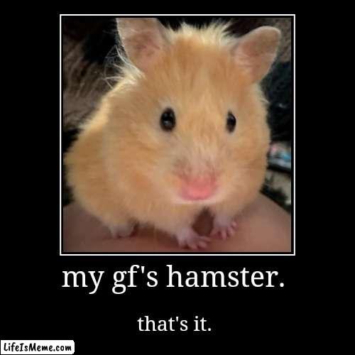 just thought I'd show you Nugget | image tagged in funny,demotivationals | made w/ Lifeismeme demotivational maker
