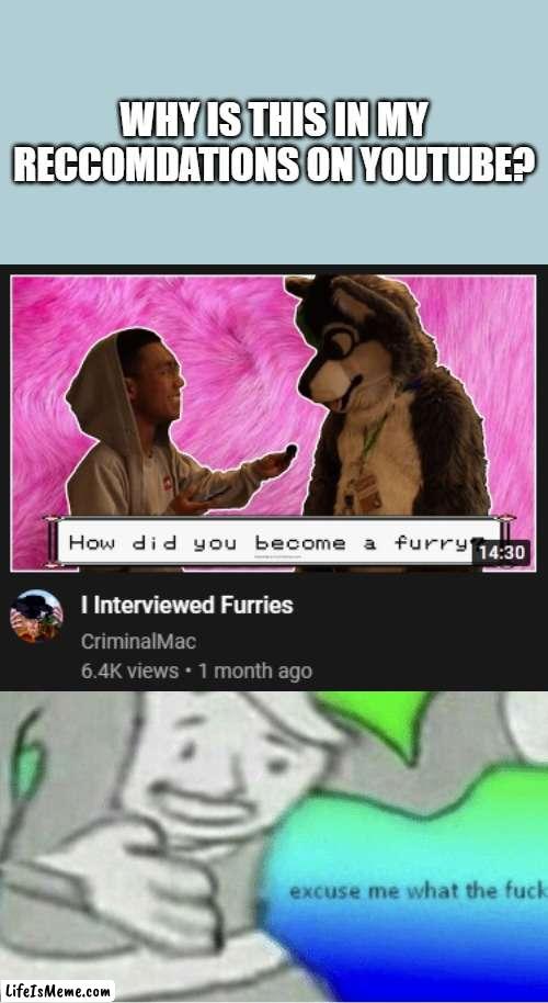 Seriously, just why? | WHY IS THIS IN MY RECCOMDATIONS ON YOUTUBE? | image tagged in excuse me wtf blank template,furries,youtube | made w/ Lifeismeme meme maker