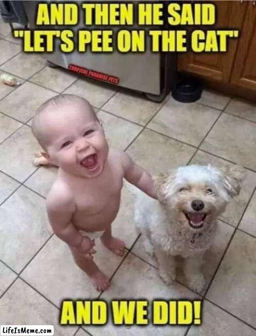 and he said :-) | AND THEN HE SAID LETS PEE ON THE CAT; AND WE DID | image tagged in todlar,bad pun dog | made w/ Lifeismeme meme maker