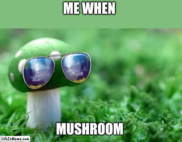 Mushroom | ME WHEN | image tagged in mushroom,sunglasses,memes,funny | made w/ Lifeismeme meme maker