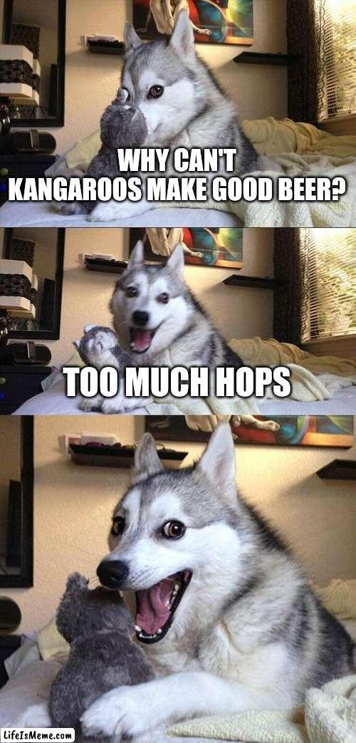 Im more of a liquor guy myself... | WHY CAN'T KANGAROOS MAKE GOOD BEER? TOO MUCH HOPS | image tagged in memes,bad pun dog | made w/ Lifeismeme meme maker