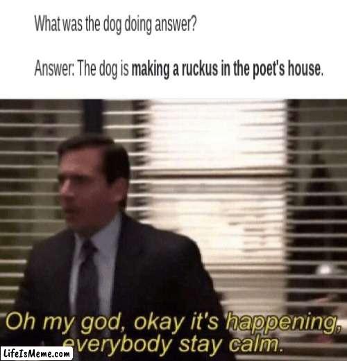 Finally...we know, what the dog doin | image tagged in oh my god okay it's happening everybody stay calm,what the dog doin,funny memes,iceu | made w/ Lifeismeme meme maker