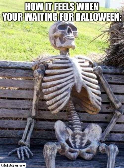 Let’s gooooooooooooooooooooooo | HOW IT FEELS WHEN YOUR WAITING FOR HALLOWEEN: | image tagged in memes,waiting skeleton | made w/ Lifeismeme meme maker