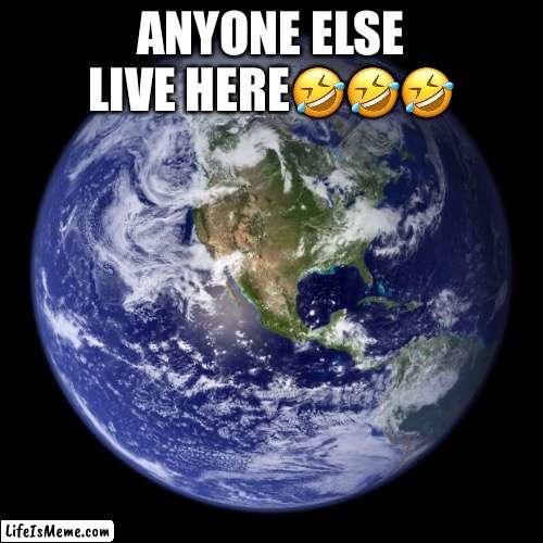 anyone else born here? | ANYONE ELSE LIVE HERE🤣🤣🤣 | image tagged in earth,memes,npc meme | made w/ Lifeismeme meme maker