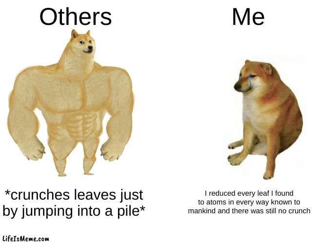 Autumn (I know I'm kinda late) | Others; Me; *crunches leaves just by jumping into a pile*; I reduced every leaf I found to atoms in every way known to mankind and there was still no crunch | image tagged in memes,buff doge vs cheems | made w/ Lifeismeme meme maker
