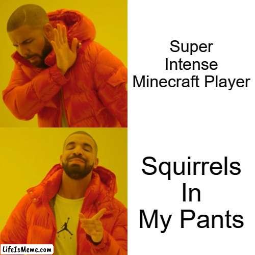 Only real ones will get this | Super Intense Minecraft Player; Squirrels In My Pants | image tagged in memes,drake hotline bling | made w/ Lifeismeme meme maker