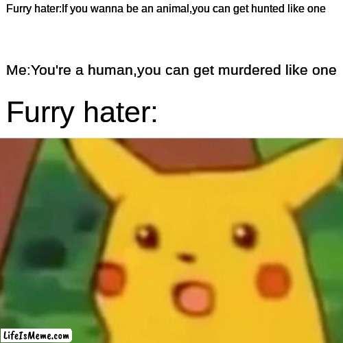 No furry haters allowed here,just,go buzz off | Furry hater:If you wanna be an animal,you can get hunted like one; Me:You're a human,you can get murdered like one; Furry hater: | image tagged in memes,surprised pikachu | made w/ Lifeismeme meme maker