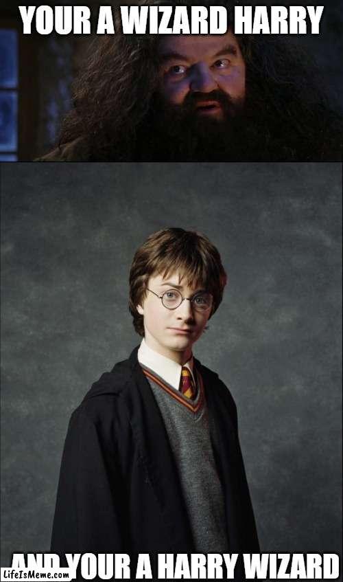 Wizard or Harry wizard | YOUR A WIZARD HARRY; AND YOUR A HARRY WIZARD | image tagged in your a wizard harry,harry potter | made w/ Lifeismeme meme maker