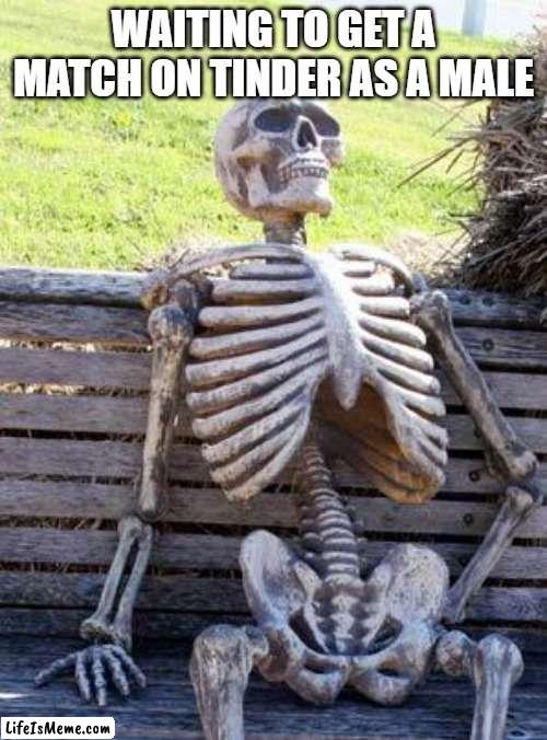 waiting for a match | WAITING TO GET A MATCH ON TINDER AS A MALE | image tagged in memes,waiting skeleton | made w/ Lifeismeme meme maker