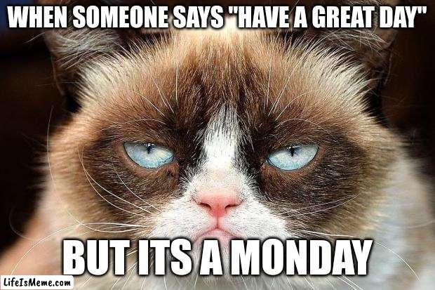 this is 102.46478% me | WHEN SOMEONE SAYS "HAVE A GREAT DAY"; BUT ITS A MONDAY | image tagged in grumpy cat,grumpy cat not amused,memes | made w/ Lifeismeme meme maker