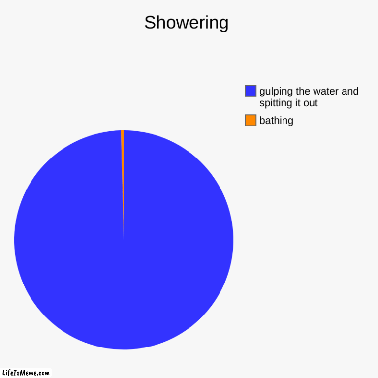 has anyone done this? | Showering | bathing, gulping the water and spitting it out | image tagged in charts,pie charts | made w/ Lifeismeme chart maker