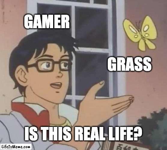 go outside sometimes | GAMER; GRASS; IS THIS REAL LIFE? | image tagged in memes,is this a pigeon,gamer,grass | made w/ Lifeismeme meme maker