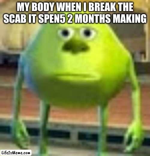 sully wazowski | MY BODY WHEN I BREAK THE SCAB IT SPEN5 2 MONTHS MAKING | image tagged in sully wazowski | made w/ Lifeismeme meme maker