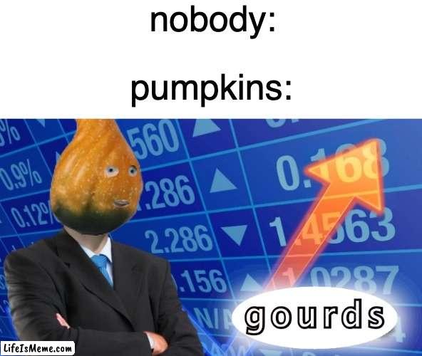 gourds | nobody:; pumpkins: | image tagged in stonks,fun | made w/ Lifeismeme meme maker