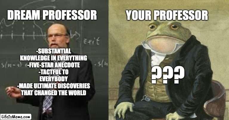 World of Professors | DREAM PROFESSOR; YOUR PROFESSOR; -SUBSTANTIAL KNOWLEDGE IN EVERYTHING
-FIVE-STAR ANECDOTE
-TACTFUL TO EVERYBODY
-MADE ULTIMATE DISCOVERIES THAT CHANGED THE WORLD; ??? | image tagged in gentlemen it is with great pleasure to inform you that | made w/ Lifeismeme meme maker