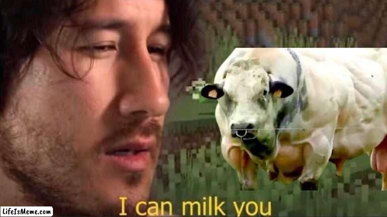 Good f’ing luck | image tagged in milking the cow | made w/ Lifeismeme meme maker