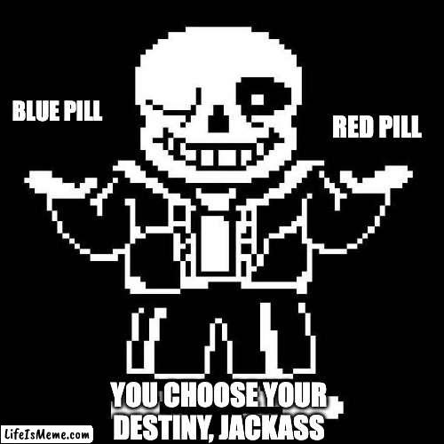 Jackass | RED PILL; BLUE PILL; YOU CHOOSE YOUR DESTINY, JACKASS | image tagged in sans undertale | made w/ Lifeismeme meme maker