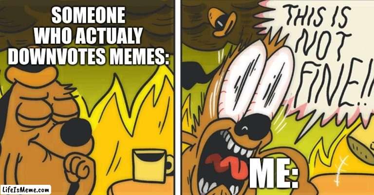 I'm in Spain without the S | SOMEONE WHO ACTUALY DOWNVOTES MEMES:; ME: | image tagged in this is not fine,funny,memes,imgflip,upvotes,downvote | made w/ Lifeismeme meme maker