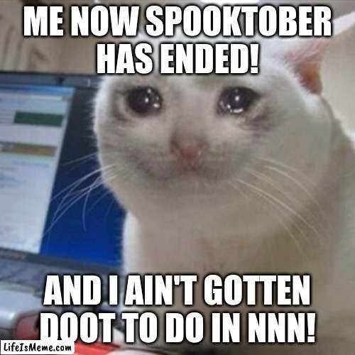 Unfortunately spooktober has ended! | ME NOW SPOOKTOBER HAS ENDED! AND I AIN'T GOTTEN DOOT TO DO IN NNN! | image tagged in crying cat | made w/ Lifeismeme meme maker