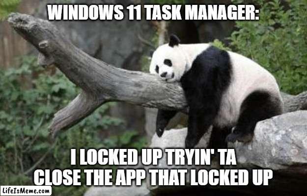 Windows 11 Task Manager | WINDOWS 11 TASK MANAGER:; I LOCKED UP TRYIN' TA CLOSE THE APP THAT LOCKED UP | image tagged in lazy,panda,windows 11,app,program,memes | made w/ Lifeismeme meme maker