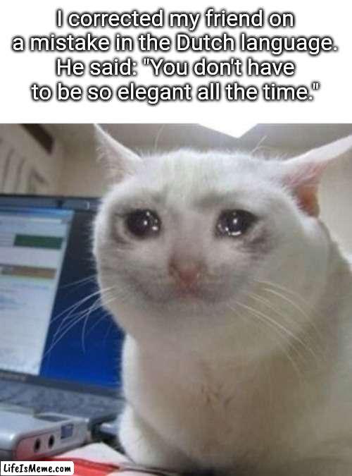 Am very sad. | I corrected my friend on a mistake in the Dutch language.
He said: "You don't have to be so elegant all the time." | image tagged in crying cat | made w/ Lifeismeme meme maker