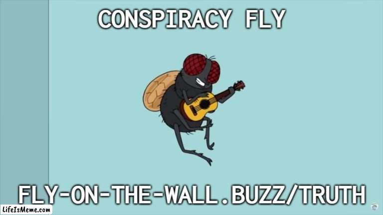 conspiracy fly | CONSPIRACY FLY; FLY-ON-THE-WALL.BUZZ/TRUTH | image tagged in conspiracy fly,family guy | made w/ Lifeismeme meme maker