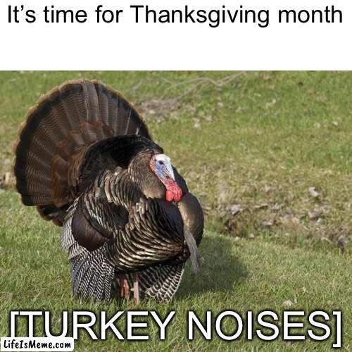 It’s time | It’s time for Thanksgiving month; [TURKEY NOISES] | image tagged in thanksgiving,funny,memes | made w/ Lifeismeme meme maker