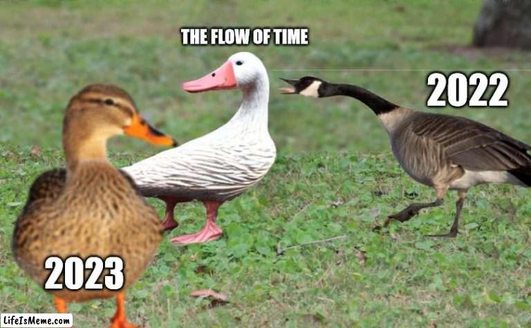 New Years Distracted Time | THE FLOW OF TIME; 2022; 2023 | image tagged in distracted boyfriend,duckfriend,distracted duckfriend | made w/ Lifeismeme meme maker