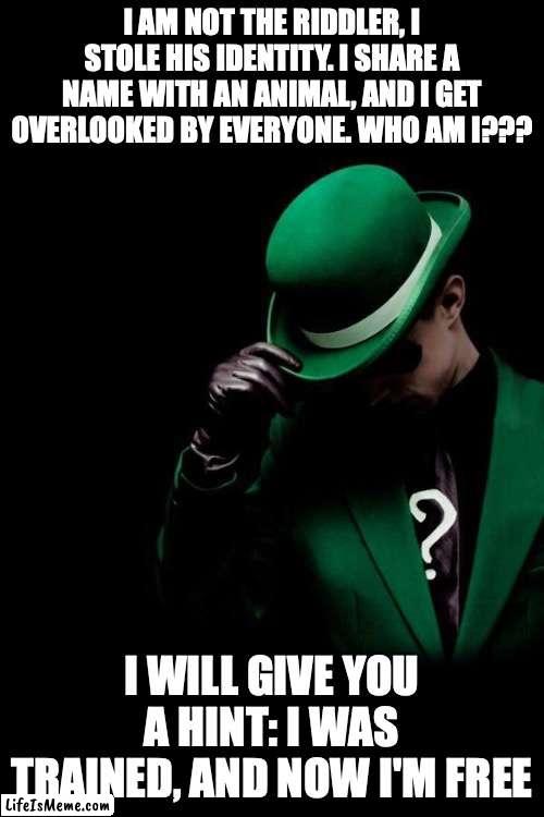 If you get this, you are a good Batman fan. | I AM NOT THE RIDDLER, I STOLE HIS IDENTITY. I SHARE A NAME WITH AN ANIMAL, AND I GET OVERLOOKED BY EVERYONE. WHO AM I??? I WILL GIVE YOU A HINT: I WAS TRAINED, AND NOW I'M FREE | image tagged in the riddler,batman,riddle | made w/ Lifeismeme meme maker